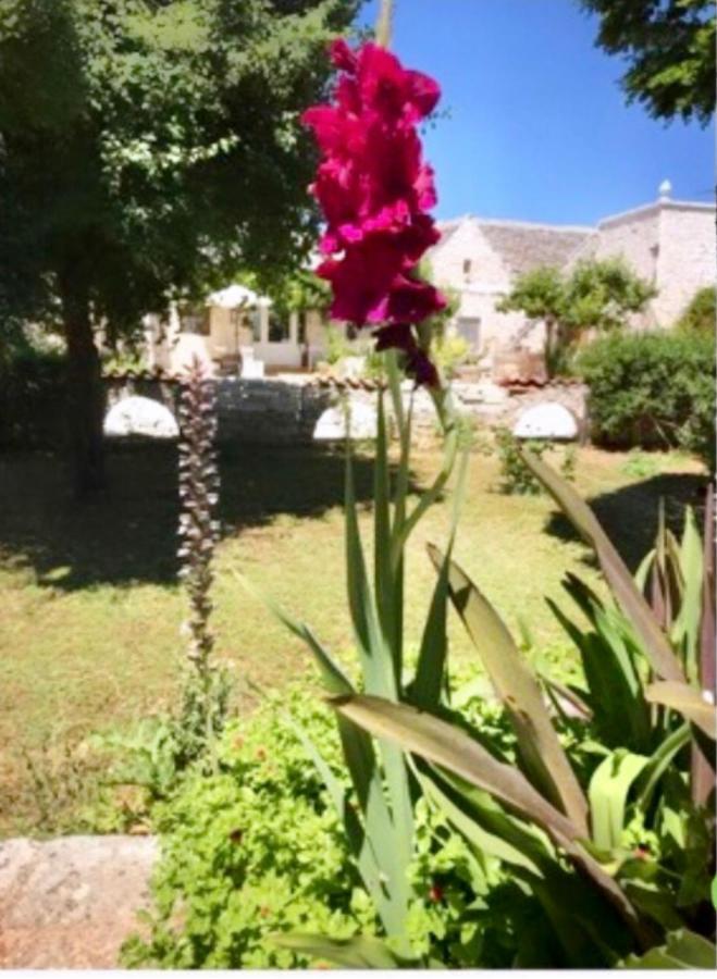 Apartamento Maison Santarosa Castellana Grotte Exterior foto
